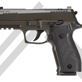 P226-XCARRY LEGION - Handguns - P80 Kit